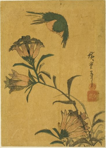 Bird and gentian