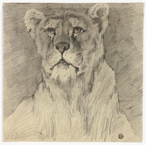 Front View of Seated Lioness
