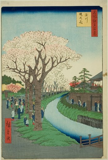 Blossoms on the Tama River Embankment (Tamagawa-zutsumi no hana), from the series "One Hundred Famous Views of Edo (Meisho Edo hyakkei)"