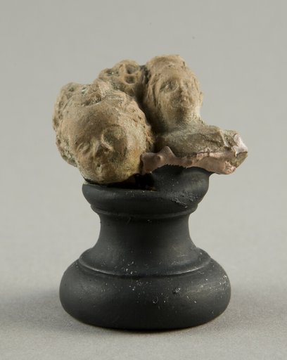 Attached Heads of a Child and a Woman