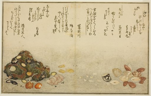 Ashi-gai, hamaguri, ko-gai, suzume-gai, akoya-gai, and katashi-gai, from the illustrated book "Gifts from the Ebb Tide (Shiohi no tsuto)"