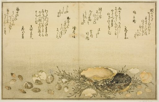 Chidori-gai, itaya-gai, awabi, utsuse-gai, asari-gai, and monoara-gai, from the illustrated book "Gifts from the Ebb Tide (Shiohi no tsuto)"