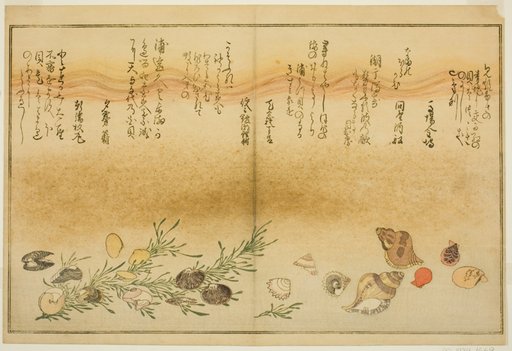 Beni-gai, hora-gai, urauzu-gai, wasure-gai, chiyonohana-gai, and masuho-gai, from the illustrated book "Gifts from the Ebb Tide (Shiohi no tsuto)"