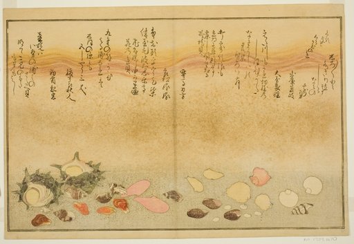 Shiro-gai, namima-gashiwa, makura-gai, iro-gai, aza-gai, sadae-gai, from the illustrated book "Gifts from the Ebb Tide (Shiohi no tsuto)"