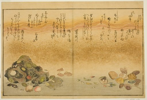 Ashi-gai, hamaguri, ko-gai, suzume-gai, akoya-gai, and katashi-gai, from the illustrated book "Gifts from the Ebb Tide (Shiohi no tsuto)"