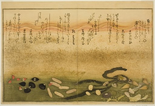 Minashi-gai, shio-gai, katatsu-gai, miso-gai, chijimi-gai, and chigusa-gai, from the illustrated book "Gifts from the Ebb Tide (Shiohi no tsuto)"