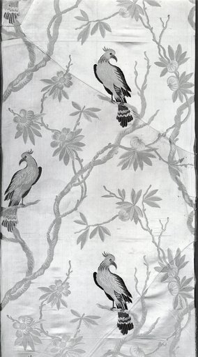 Panel