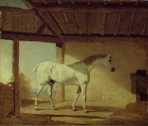 The Earl of Coventry's Horse