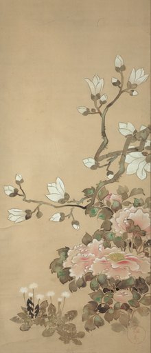 Peonies, Magnolia, and Dandelions
