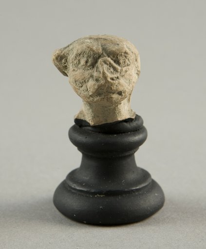 Head with Simian Features