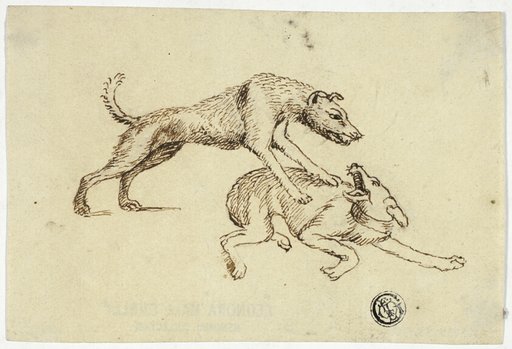 Two Dogs Fighting