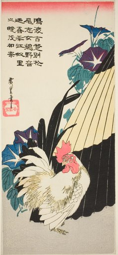 Rooster, umbrella, and morning glories