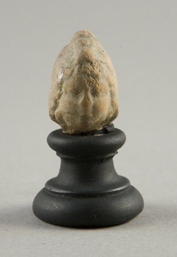 Head of a Child (?)