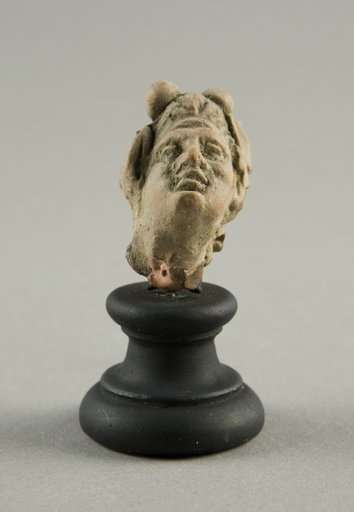 Head of a Man with Furrowed Brow