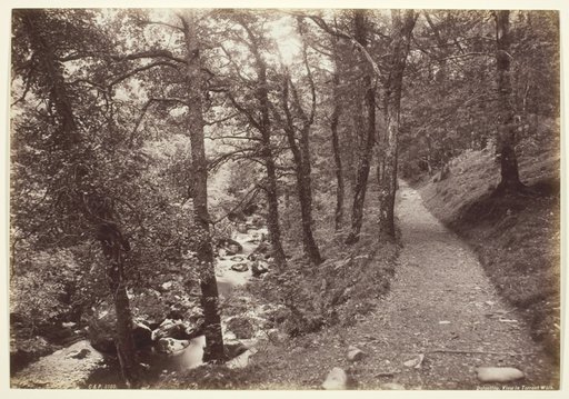 Dolgelley, View in Torrent Walk
