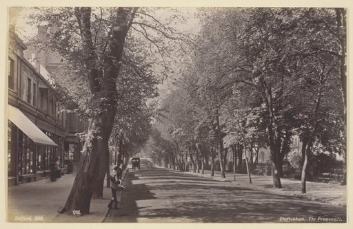 Cheltenham, the Promenade