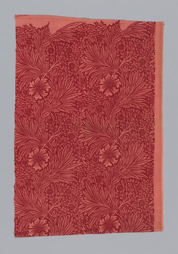 Marigold
