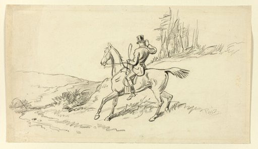 Rider Reining in Horse