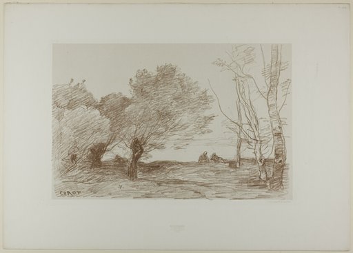 Willows and White Poplars