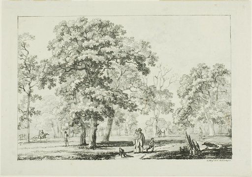 People Walking in a Wood