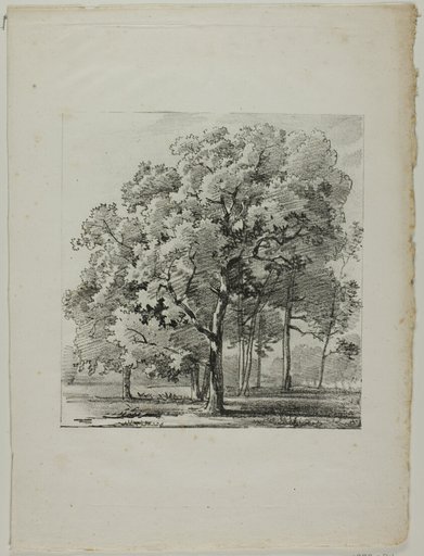 Study of Trees