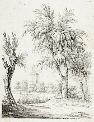 Landscape with Steeple