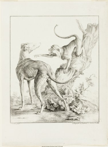 Dog and Monkey