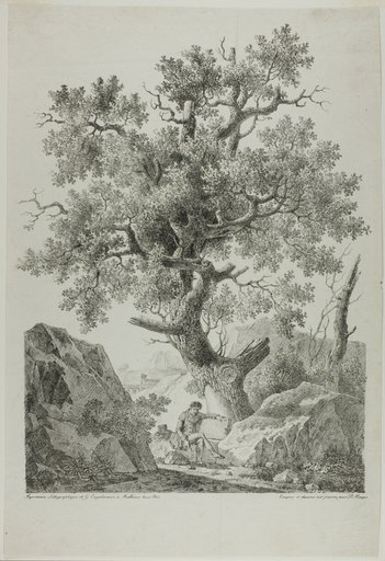 Artist in a Rocky Landscape