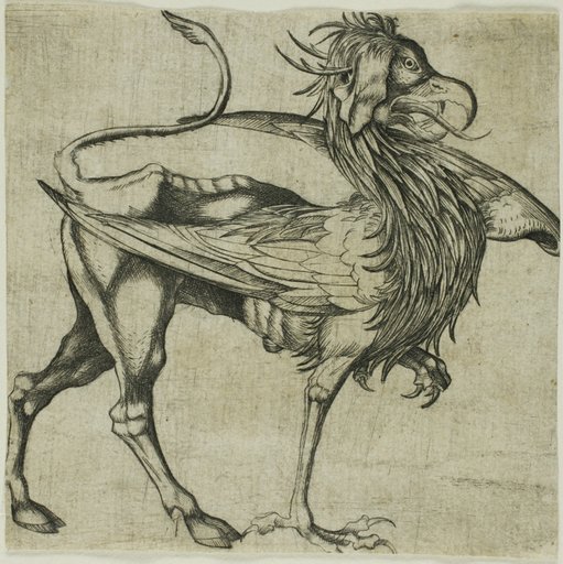 The Griffin