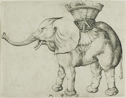 The Elephant