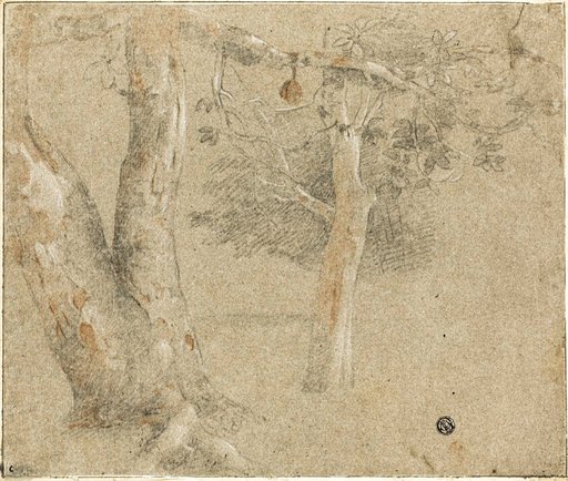 Sketches of Trees