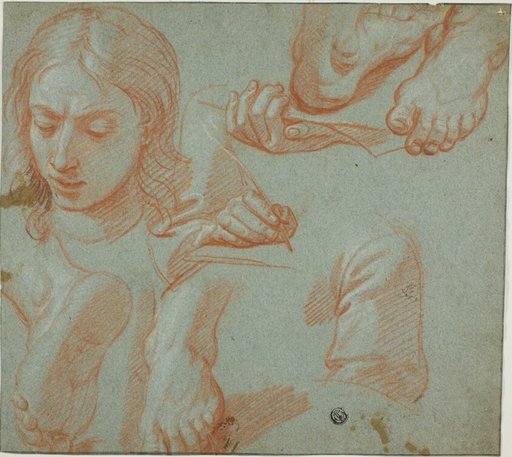 Sketches of Head, Hands, Shoulder, and Feet