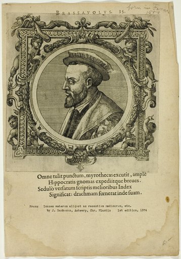 Portrait of Brassauolus