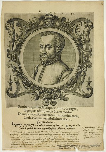 Portrait of V. Cordus