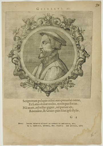 Portrait of Gesnerus