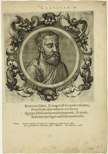 Portrait of Crateuas
