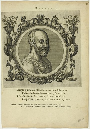 Portrait of Ruffus