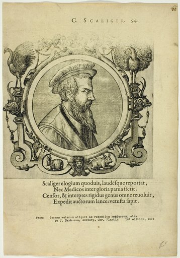 Portrait of C. Scaliger