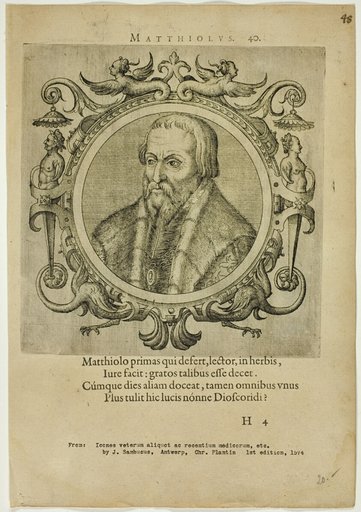 Portrait of Matthiolus