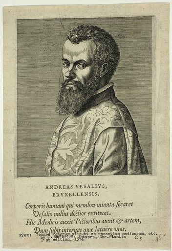 Portrait of Doctor Andreas Vesalius of Brussels