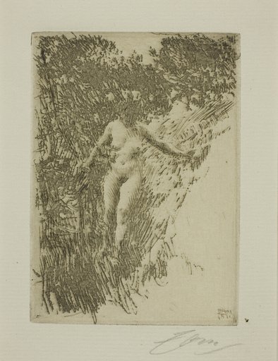 Brushwood