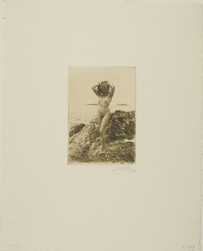 Hårtång (Seawood-wreath)