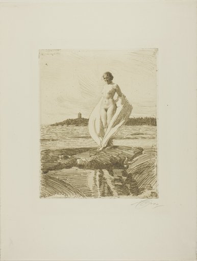 The Swan