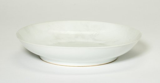 Dish