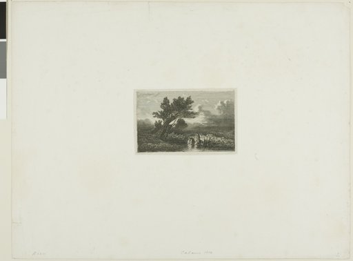 Alpine Landscape