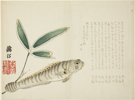 Fish and Bamboo