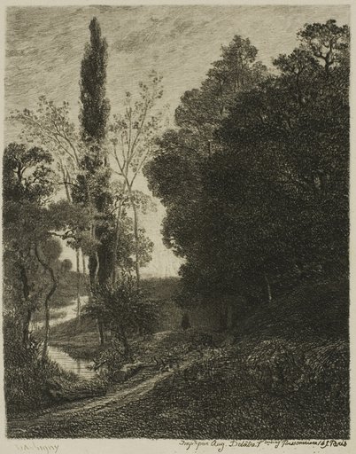 The Banks of the Cousin