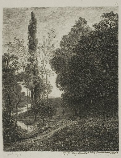 The Banks of the Cousin