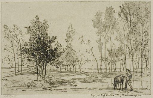 The Donkey at the Watering Place