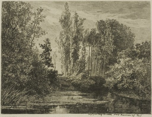 Stags at the Water's Edge